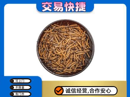 杭锦后旗高价回收散虫草